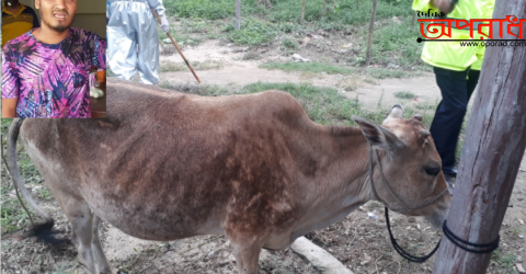 হবিগঞ্জের অলিপুর শিল্প এলাকায় গরু চোর আটক