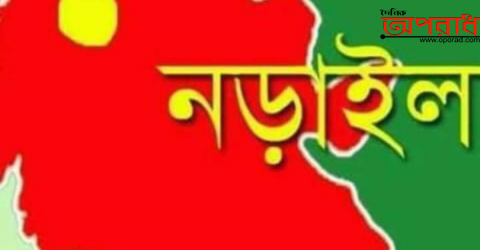 কালিয়ায় মামা বাড়ী ধান কাটতে গিয়ে ভাগ্নের মৃত্যু