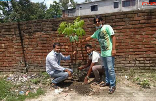 সাবেক প্রেসিডেন্ট জিয়াউর রহমানের মৃতু বার্ষিকীতে নীলফামারী ছাত্রদলের বৃক্ষরোপণ কর্মসূচি