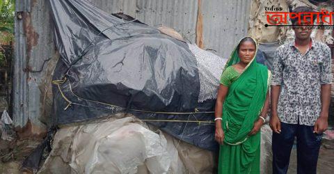 কালীগঞ্জে জিপিএ ৫ পেয়েও রাজমিস্ত্রির কাজ করা তপনের লেখাপড়া অনিশ্চিত