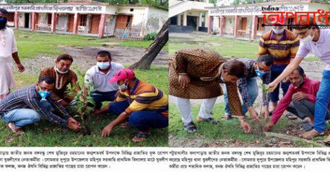 বঙ্গবন্ধুর জন্মশতবার্শিকীতে মহিপুর থানা যুবলীগের বৃক্ষরোপণ অভিযান ॥