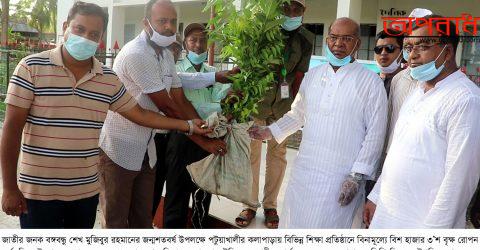 বঙ্গবন্ধুর জন্মশত বার্ষীকীতে কলাপাড়ায় বনবিভাগের বৃক্ষ রোপন কর্মসূচি ॥