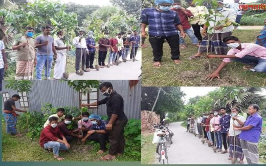 “গাছ লাগান পরিবেশ বাঁচান” রাজবাড়ী