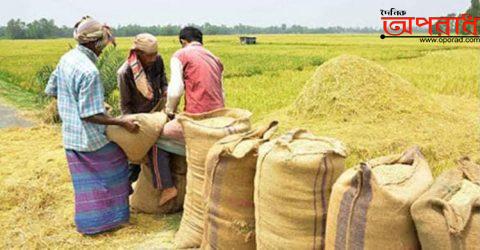 শায়েস্তাগঞ্জে লটারির মাধ্যমে কেনা হচ্ছে কৃষকের ধান