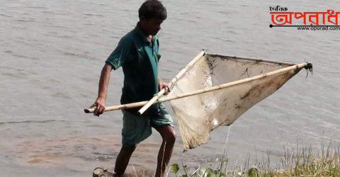 তাড়াইলে অবাধে চলছে মৎস্য নিধন