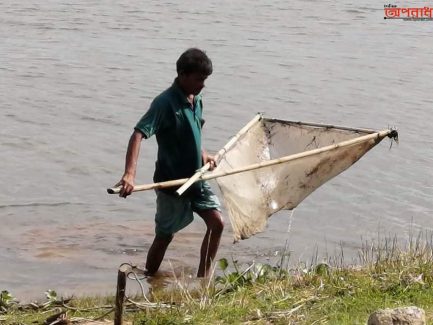 তাড়াইলে অবাধে চলছে মৎস্য নিধন