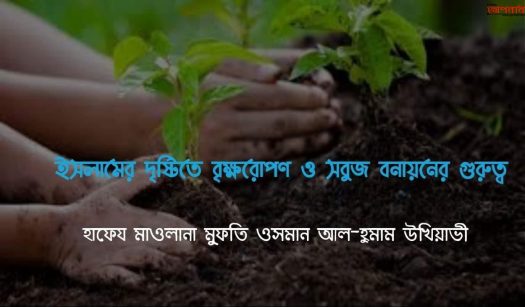 ইসলামের দৃষ্টিতে বৃক্ষরোপণ ও সবুজ বনায়নের গুরুত্ব