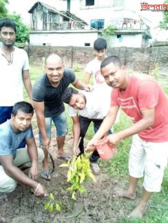 কোটচাঁদপুর পৌর স্বেচ্ছাসেবক লীগের উদ্যোগে বৃক্ষরোপণ কর্মসূচি ২০২০ অনুষ্ঠিত।