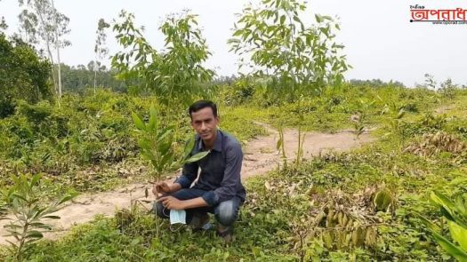 চুনারুঘাটে পর্যটন কেন্দ্র গ্রীণল্যান্ড পার্কে ১৮ হাজার বৃক্ষরোপণ