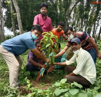 কোটচাঁদপুরে বৃক্ষরোপণ কর্মসূচি ২০২০ অনুষ্ঠিত