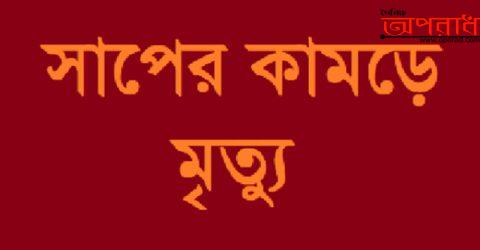 নন্দীগ্রামে বিষধর সাপের কামড়ে এক মহিলার মৃত্যু