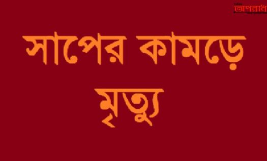 নন্দীগ্রামে বিষধর সাপের কামড়ে এক মহিলার মৃত্যু