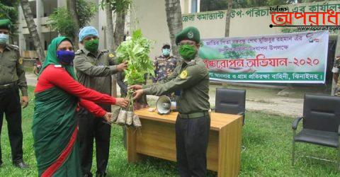 ঝিনাইদহে মুজিব বর্ষ উপলক্ষ্যে আনসার ভিডিপি কার্যালয়ের বিক্ষরোপণ কর্মসূচি