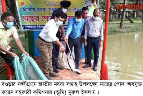 নন্দীগ্রামে জাতীয় মৎস্য সপ্তাহ উপলক্ষ্যে মাছের পোনা অবমুক্তকরণ