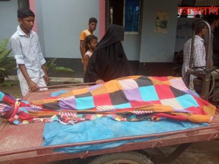 কাউখালীতে গাছ চাপায় শ্রমিকের মর্মান্তিক মৃত্যু