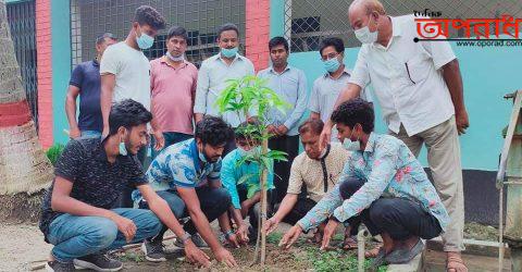 বাংলাদেশ ছাত্রলীগের নির্দেশনা অনুযায়ী জীবননগর ডিগ্ৰি কলেজ ছাত্রলীগের বৃক্ষ রোপন।