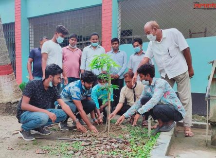 বাংলাদেশ ছাত্রলীগের নির্দেশনা অনুযায়ী জীবননগর ডিগ্ৰি কলেজ ছাত্রলীগের বৃক্ষ রোপন।