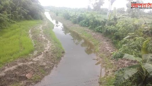 ঝিনাইদহের মহেশপুরে কাকিলাদাড়ি বিলের খাল খনন পরিদর্শনে – এমপি চঞ্চল