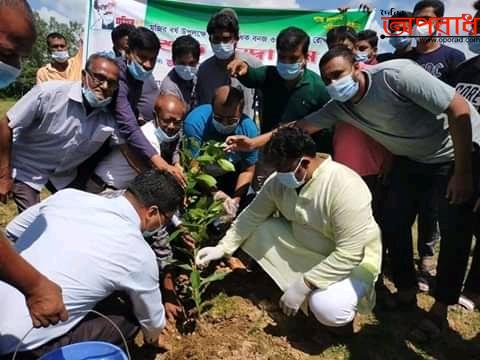 বঙ্গ বন্ধুর জন্মশত বার্ষিকী উপলক্ষ্যে দিনাজপুরের বিরামপুরে বৃক্ষরোপন কর্মসুচী উদ্ভোধন করলেন “এম পি শিবলী সাদিক”