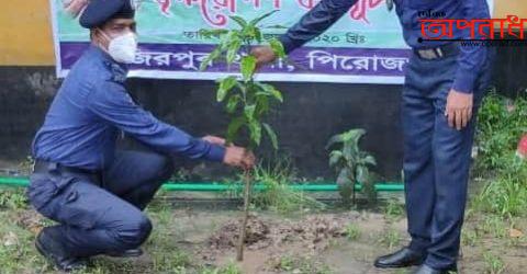 পিরোজপুর  জেলা পুলিশের উদ্যোগে বৃক্ষরোপণ কর্মসূচির উদ্বোধন।