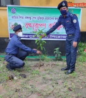 পিরোজপুর  জেলা পুলিশের উদ্যোগে বৃক্ষরোপণ কর্মসূচির উদ্বোধন।