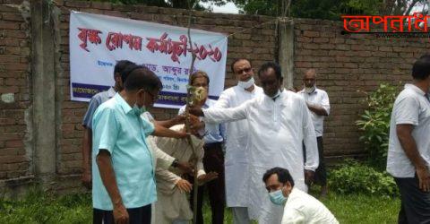 ঝিনাইদহ ডাকবাংলা আব্দুর রউফ ডিগ্রী কলেজে বৃক্ষরোপন কর্মসূচী