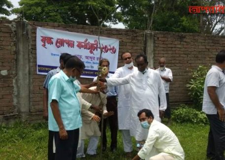 ঝিনাইদহ ডাকবাংলা আব্দুর রউফ ডিগ্রী কলেজে বৃক্ষরোপন কর্মসূচী