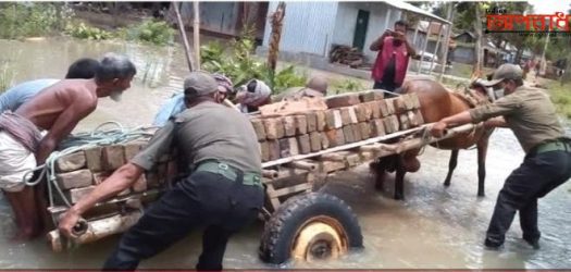 গোয়ালন্দে পানি বন্দী মানুষের পাশে দাড়িয়েছে আনসার সদস্যরা।।