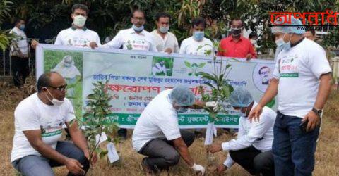 ঝিনাইদহে চীফ জুডিসিয়াল আদালত প্রাঙ্গণে বৃক্ষরোপন