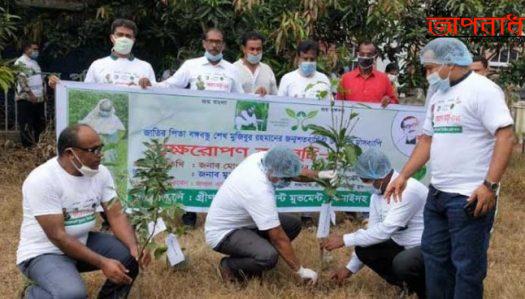 ঝিনাইদহে চীফ জুডিসিয়াল আদালত প্রাঙ্গণে বৃক্ষরোপন