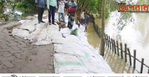 নন্দীগ্রামে বন্যার কবল থেকে রক্ষা পেতে নাগরনদী বাঁধ সংষ্কার কাজ হচ্ছে