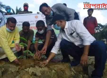 ঝিনাইগাতীতে মুজিববর্ষ উপলক্ষে বৃক্ষরোপণ কর্মসূচির শুভ উদ্বোধন।