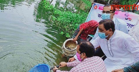 চুনারুঘাটে জাতীয় মৎস্য সপ্তাহ উপলক্ষে পোনা মাছ অবমুক্তকরন