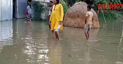 তাড়াইলের নগরকুল গ্রামের  চারশতাধিক পরিবার পানিবন্দি