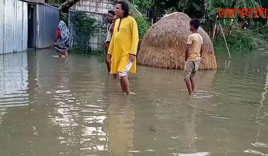 তাড়াইলের নগরকুল গ্রামের  চারশতাধিক পরিবার পানিবন্দি