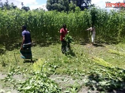 নীলফামারীতে কবলাকৃত জমির উপর উঠতে বাধা, প্রাণনাশের হুমকি