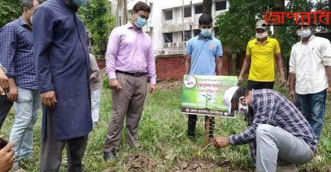 ঝিনাইদহে মুজিব বর্ষ উপলক্ষ্যে সার্কিট হাউস সংলগ্ন চত্বরে বৃক্ষরোপণ কর্মসূচী অনুষ্ঠিত