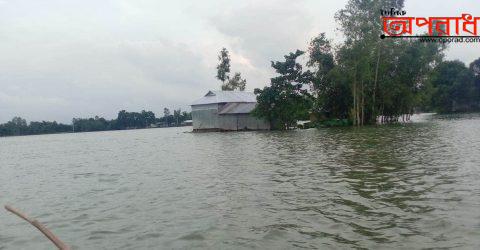 শেরপুরে দফায় দফায় বাড়ছে বন্যার পানি।