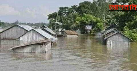 আজমিরীগঞ্জে বন্যায় জনসাধারণ ও গৃহপালিত পশুরা বিপাকে