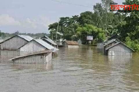 আজমিরীগঞ্জে বন্যায় জনসাধারণ ও গৃহপালিত পশুরা বিপাকে