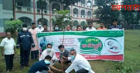 নীলফামারী চাঁদের হাট ডিগ্রী কলেজে  ছাত্রলীগের উদ্যোগে বৃক্ষ রোপন