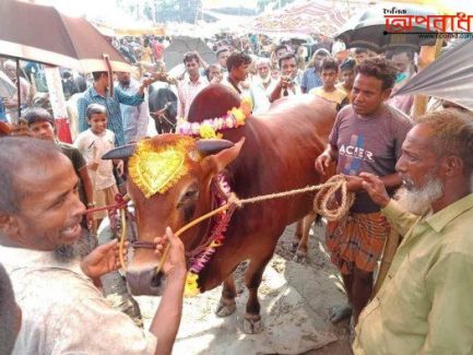 আজমিরীগঞ্জ গরুহাটায় স্বাস্থ্য বিধি না মেনে অবাধে  গরু বিক্রি