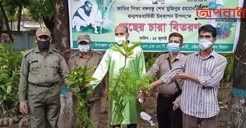 মুজিব_বর্ষ উদযাপন উপলক্ষে আগামীকাল হাটহাজারী উপজেলায় ২০,৩৫০ টি গাছের চারা রোপণ করা হবে।