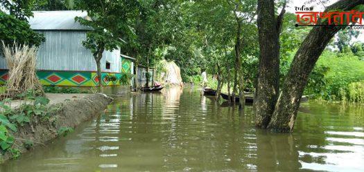 তাড়াইল সাচাইল প্রায় অর্ধশতাধিক পরিবার পানিবন্দি