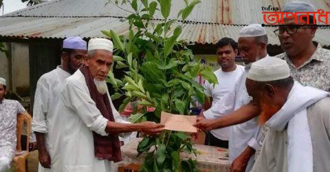 মধ্য ইনাতাবাদ প্রবাসী সমাজসেবা পরিষদের বৃক্ষ রোপন কমর্সুচী