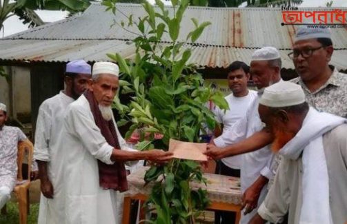 মধ্য ইনাতাবাদ প্রবাসী সমাজসেবা পরিষদের বৃক্ষ রোপন কমর্সুচী