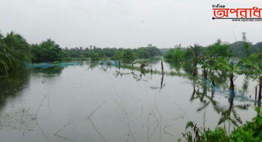 বাগেরহাটে নদ-নদীর পানি বৃদ্ধি পাওয়ায় জোয়ারের পানিতে নিম্নাঞ্চল প্লাবিত,ভেসে গেছে মৎস্য ঘের