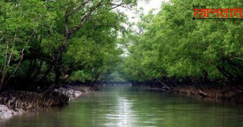 সুন্দরবনে ৯ জেলে আটক