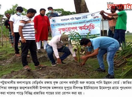 কলাপাড়ায় বেড়িবাঁধ রক্ষা করতে পানি উন্নয়ন বোর্ডের বৃক্ষরোপন কাযর্ক্রম চালু ॥