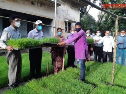 ডিমলায় বন্যায় ক্ষতিগ্রস্ত কৃষকদের মাঝে প্রণোদনা কর্মসূচির আওতায় চারা, বীজ ও সার বিতরণ।